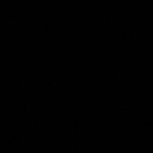 Meet your Posher, Naomi